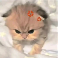 t/g thik ngọt nhưng viết ngược