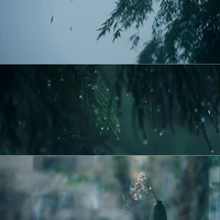 All nhân vật