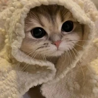 tác giả cute đây