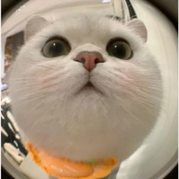 con T/G khổ nhất thế giới