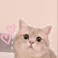 Tuyết và Nguyệt