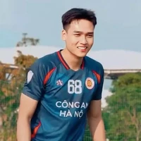 Việt Anh