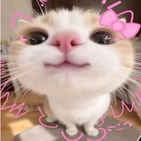 T/G ( giống cái nhưng đẹp trai 😏)