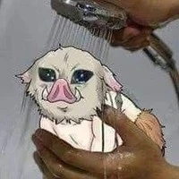 T/G GAY..