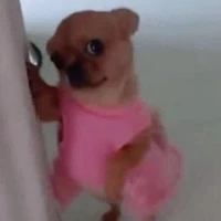 Milo-Tinh linh nước