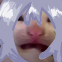 𝚃/g🫐