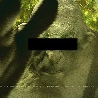 scp-082