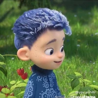 Các anh 