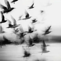 All (trừ những ai không cần thiết)