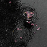 Trần Vĩnh Thuần