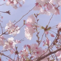 Trương Ngọc Nhật