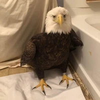 Nguyễn Quốc Khánh