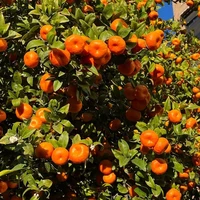 Lê Nguyễn Gia Kiệt