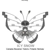 vivillon - Naruto