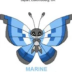 vivillon - yuruko