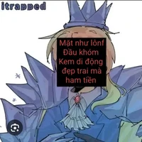 đầu dứa da nc đais (thg ipad + elsa)