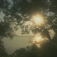 t/g