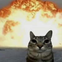 Chắc là npc hay ngẫu nhiên