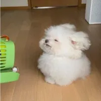 𝘊ᴜ́𝐧𝐧. bị gay