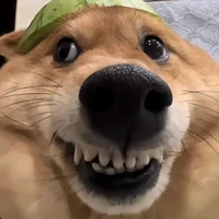 Nam đỗ(đậu nành)