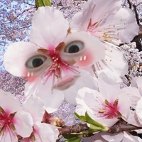 t/g ( nói ít làm liều)