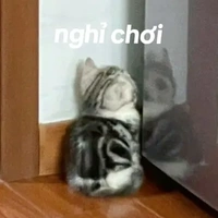 All (trừ ai thì trừ)