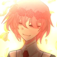 TT Hiha