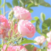 𝗍ᥲ́ᥴ gіᥲ̉