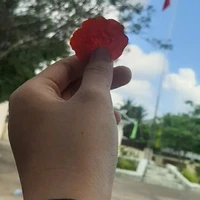 Suri