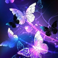 hệ thống 002