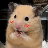 Mọi người (- ai cần -)