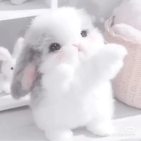 Mimi