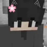 Hiha Fake