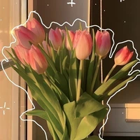° Bọn Anh (Trừ ai thì trừ) °
