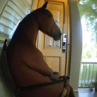 t/g Linh (rếu name)