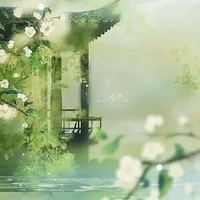 Hồng Trà