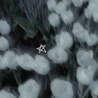 Quỳnh Ngọc Diệp