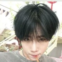 đỗ nam sơn