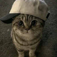 any