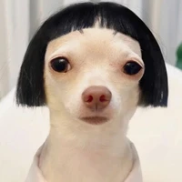 Bee - Tác giả Oreo