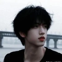 trương quế nguyên_anh