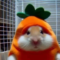 Tác giả bị lười