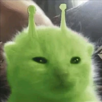 mèo hành tinh(tg)