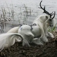 Ancient Unicorn(Kunigami)