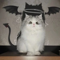 hệ thống 2406 (su)