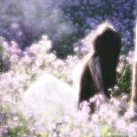 Trương Thị Thanh Nga -ma anh