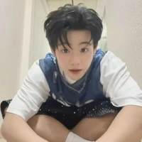 Cú đêm bay đến đây