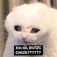 Cả hai
