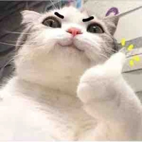 Con nhỏ T/G xinh xắn