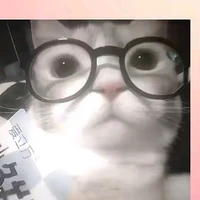 TG báo